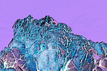 L 031D